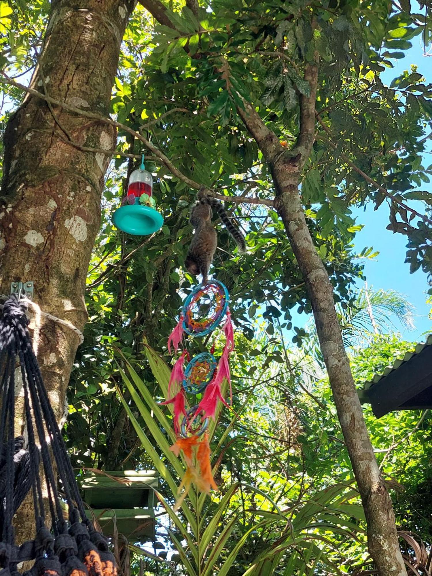 فيلا Casa Com Piscina Florianópolis المظهر الخارجي الصورة